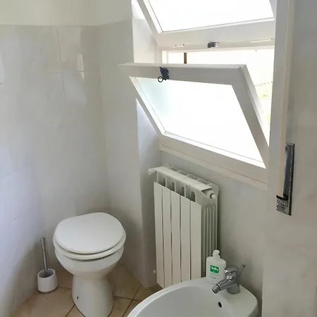 Xl Apartment